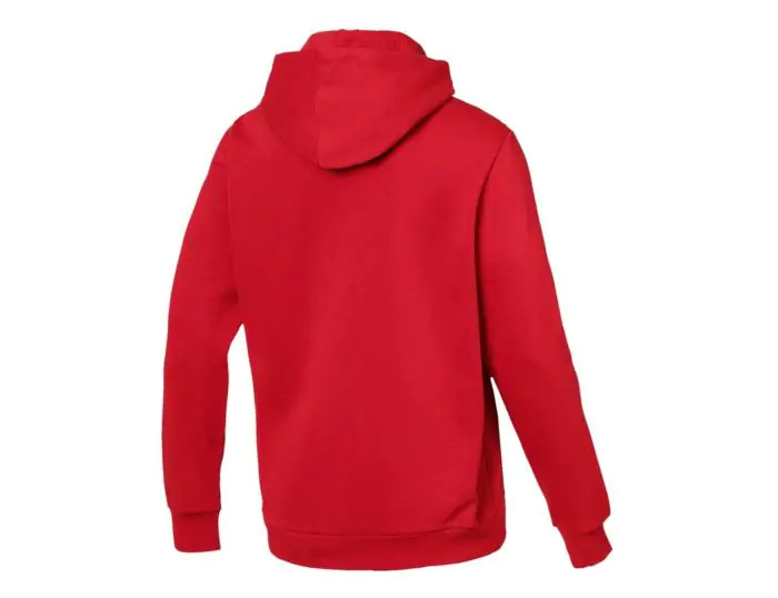 Puma ESS Hoody FL Big Logo Rode Trui Avantisport