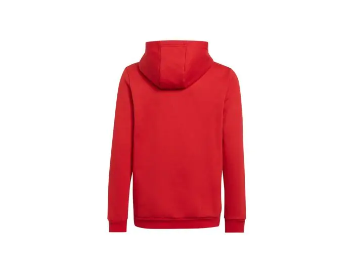 adidas Entrada 22 Hoodie Youth Rode Hoodie Avantisport