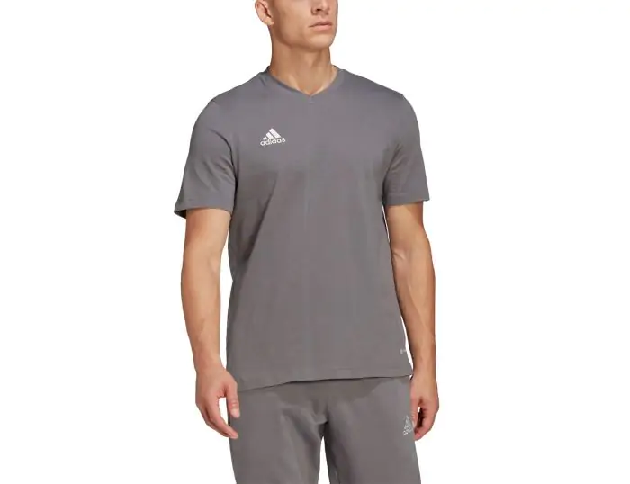 adidas Entrada 22 T Shirt Heren Grijze Sportshirt Avantisport