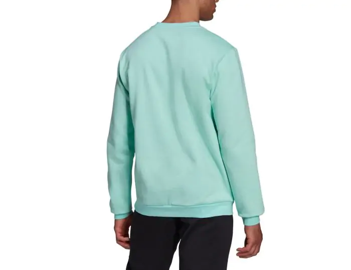 adidas Entrada 22 Sweat Top Blauwe Hoodie Heren Avantisport