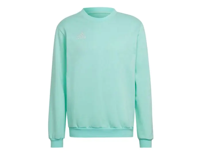 adidas Entrada 22 Sweat Top Blauwe Hoodie Heren Avantisport