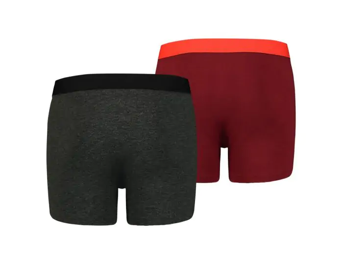 Puma Boys Placed Logo Boxer Jongens Onderbroeken Avantisport