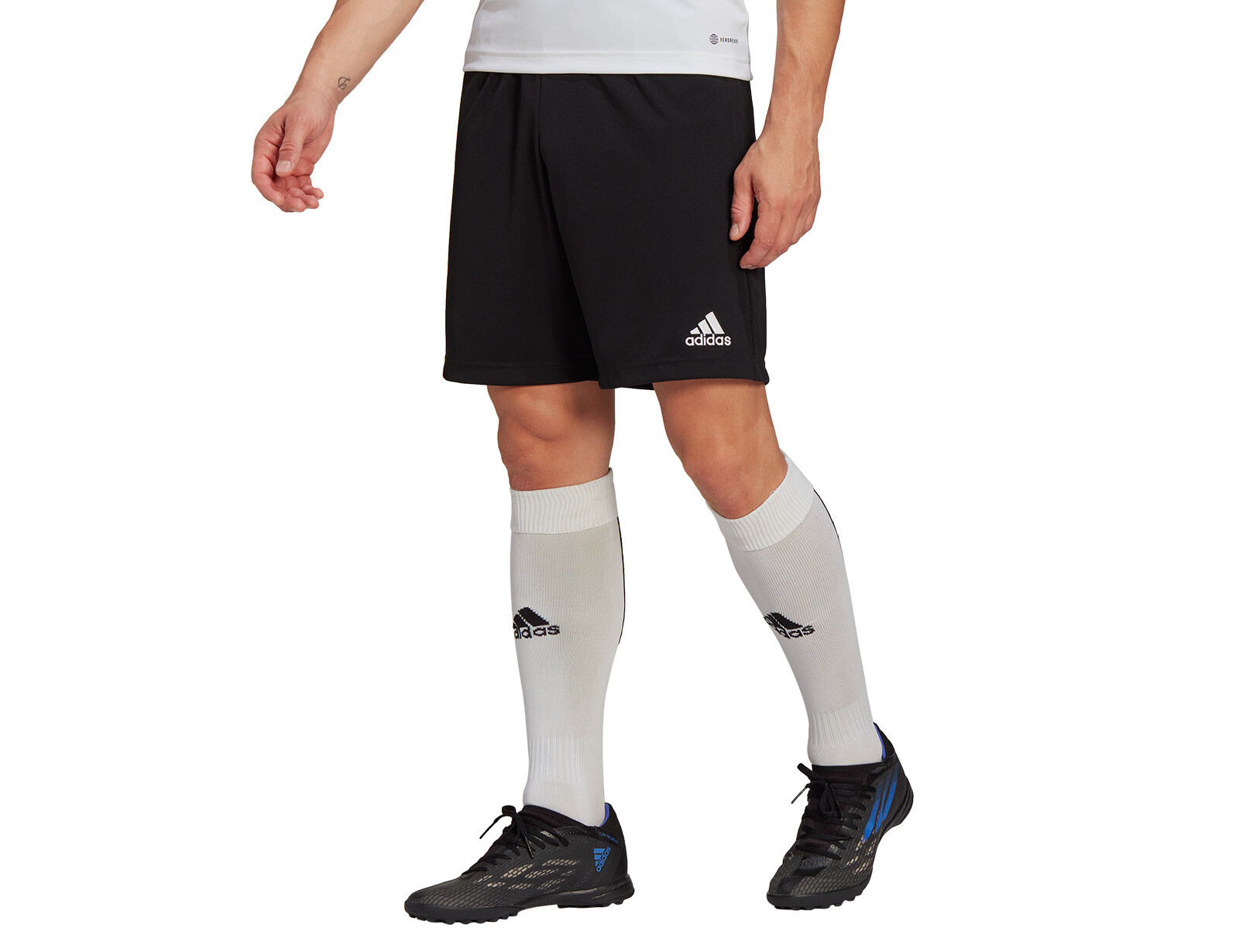 adidas - Entrada 22 Training Shorts - Voetbalshorts