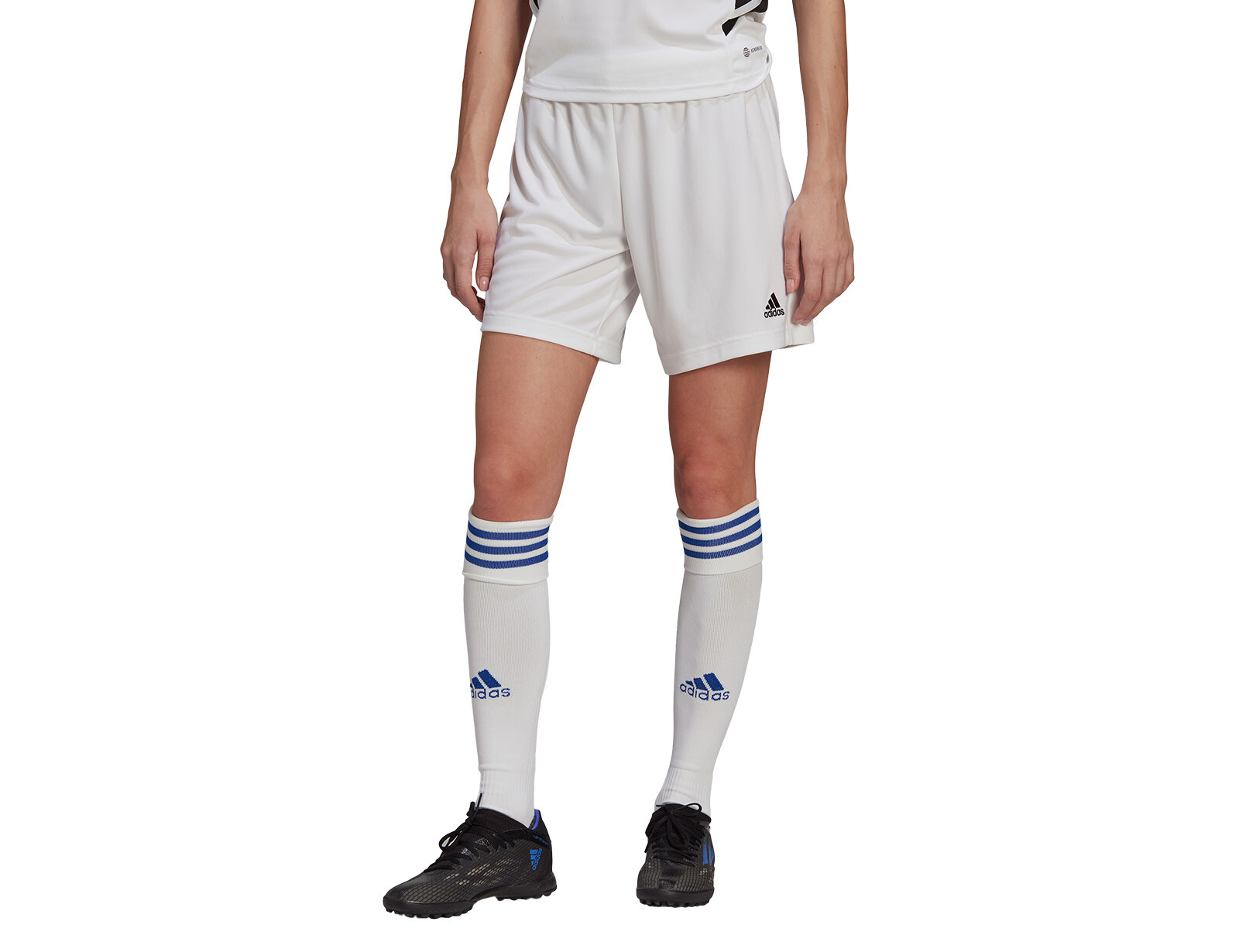 adidas - Entrada 22 Shorts Women - Witte Shorts