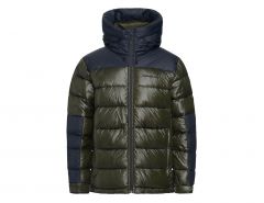 Peak Performance  - Frost Glacier Down Hood Men - Groene Winterjas