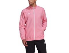 adidas - Entrada 22 Presentation Jacket - Roze Jas Heren