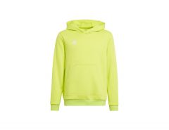 adidas - Entrada 22 Hoodie Youth - Groene Hoodie