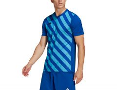 adidas - Entrada 22 GFX Jersey - Blauw Voetbalshirt