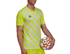 adidas - Entrada 22 GFX Jersey - Groen Voetbalshirt