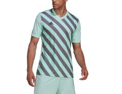 adidas - Entrada 22 GFX Jersey - Heren Voetbalshirt