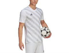 adidas - Entrada 22 GFX Jersey - Wit Voetbalshirt