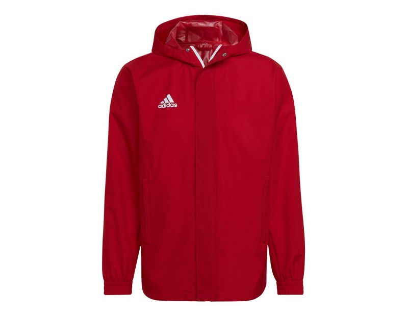 Adidas pull clearance over