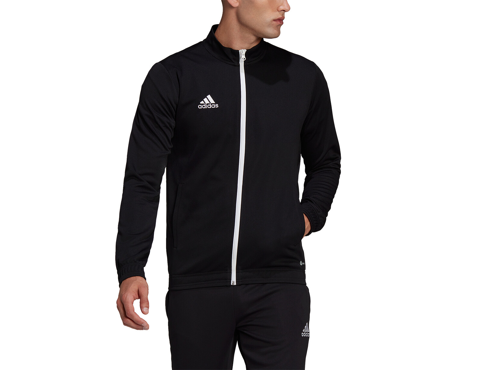 adidas - Entrada 22 Track Jacket - Zwarte Jas Heren