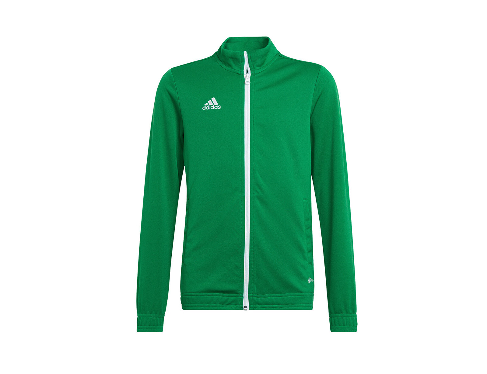 adidas - Entrada 22 Track Jacket Youth - Groen Jack Kids